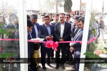 گزارش تصویری از نخستین نمایشگاه دائمی گل و گیاه در یاسوج