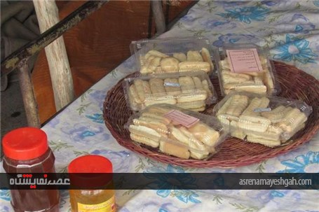 گزارش تصویری از نمایشگاه صنایع دستی، سوغات محلی و جاذبه های گردشگری خراسان جنوبی