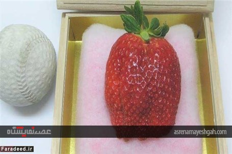 برگزاری نمایشگاه میوه های میلیونی در ژاپن +تصاویر
