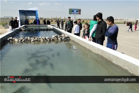 گزارش تصویری از برگزاری جشن ملی آب در ترکمنستان