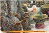 گزارش تصویری از نمایشگاه صنایع دستی در چالوس