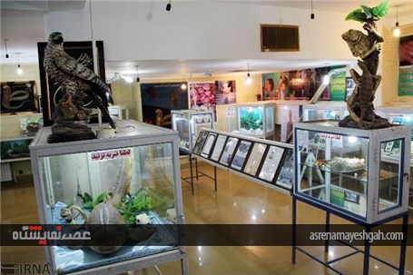 گزارش تصویری از نمایشگاه تاکسیدرمی در شهرکرد