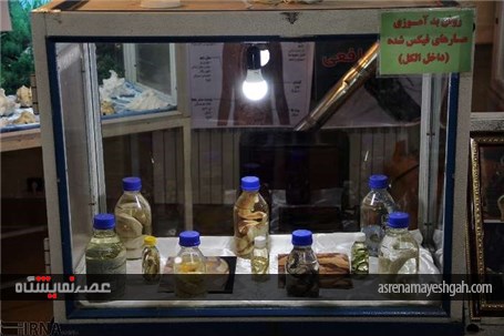 گزارش تصویری از نمایشگاه تاکسیدرمی در شهرکرد