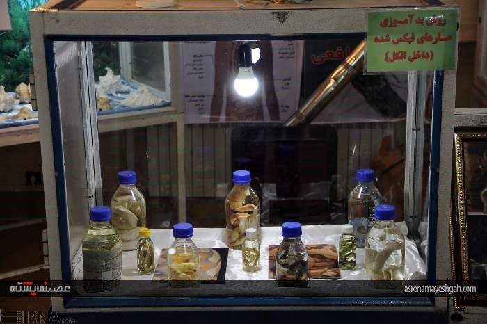 گزارش تصویری از نمایشگاه تاکسیدرمی در شهرکرد