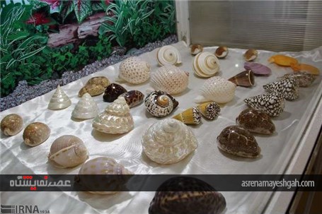 گزارش تصویری از نمایشگاه تاکسیدرمی در شهرکرد