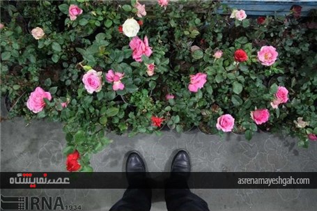 گزارش تصویری افتتاح نمایشگاه گل و گیاه خراسان جنوبی در بیرجند