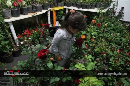 گزارش تصویری افتتاح نمایشگاه گل و گیاه خراسان جنوبی در بیرجند