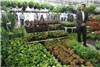 گزارش تصویری افتتاح نمایشگاه گل و گیاه خراسان جنوبی در بیرجند