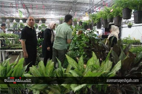 گزارش تصویری افتتاح نمایشگاه گل و گیاه خراسان جنوبی در بیرجند