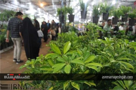 گزارش تصویری افتتاح نمایشگاه گل و گیاه خراسان جنوبی در بیرجند