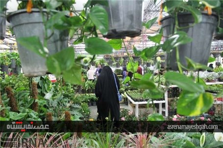 گزارش تصویری افتتاح نمایشگاه گل و گیاه خراسان جنوبی در بیرجند