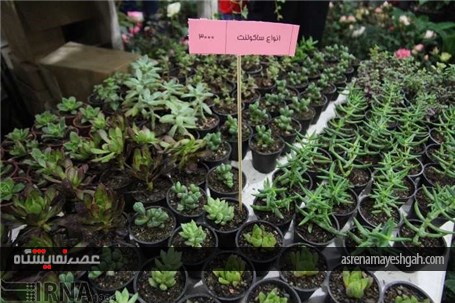 گزارش تصویری افتتاح نمایشگاه گل و گیاه خراسان جنوبی در بیرجند