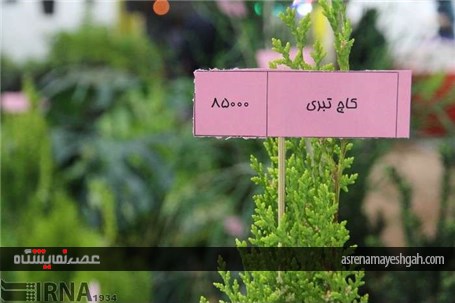 گزارش تصویری افتتاح نمایشگاه گل و گیاه خراسان جنوبی در بیرجند