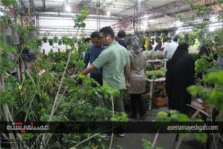 گزارش تصویری افتتاح نمایشگاه گل و گیاه خراسان جنوبی در بیرجند