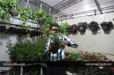 گزارش تصویری افتتاح نمایشگاه گل و گیاه خراسان جنوبی در بیرجند