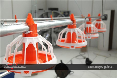 گزارش تصویری آماده سازی غرفه های نمایشگاه دام و طیور اصفهان