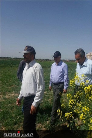 گزارش تصویری بازدید مدیران وزارت جهاد و کشاورزی. از آماده سازی نخستین نمایشگاه روزهای مزرعه ایران