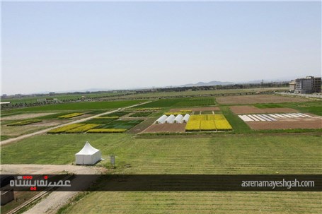 گزارش تصویری بازدید مدیران وزارت جهاد و کشاورزی. از آماده سازی نخستین نمایشگاه روزهای مزرعه ایران