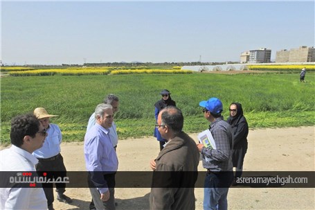 گزارش تصویری بازدید مدیران وزارت جهاد و کشاورزی. از آماده سازی نخستین نمایشگاه روزهای مزرعه ایران