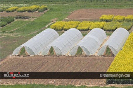 گزارش تصویری بازدید مدیران وزارت جهاد و کشاورزی. از آماده سازی نخستین نمایشگاه روزهای مزرعه ایران
