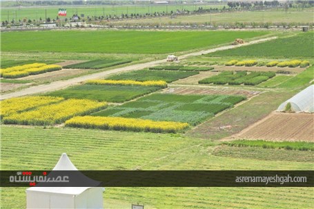 گزارش تصویری بازدید مدیران وزارت جهاد و کشاورزی. از آماده سازی نخستین نمایشگاه روزهای مزرعه ایران