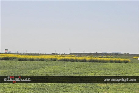 گزارش تصویری بازدید مدیران وزارت جهاد و کشاورزی. از آماده سازی نخستین نمایشگاه روزهای مزرعه ایران