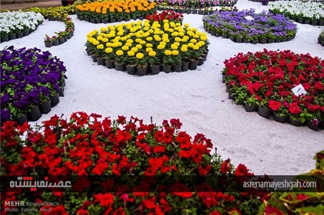 آغاز به کار پانزدهمین جشنواره گل و گیاه محلات +تصاویر