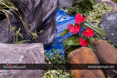آغاز به کار پانزدهمین جشنواره گل و گیاه محلات +تصاویر