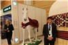 برپایی نمایشگاه بین‌المللی صنعت اسب در ترکمنستان+تصاویر