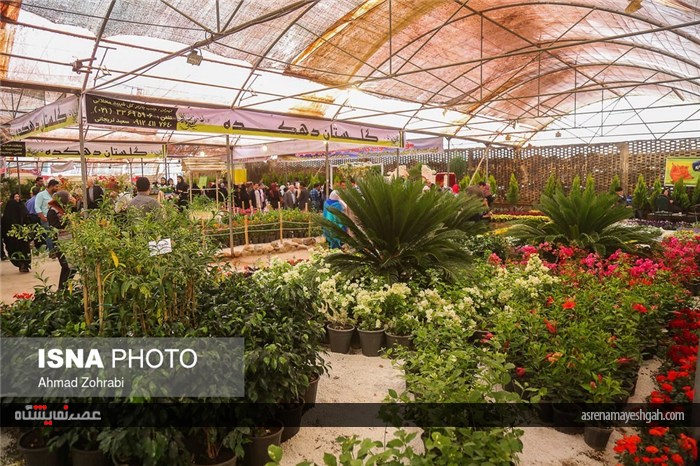گزارش تصویری از پانزدهمین نمایشگاه گل محلات