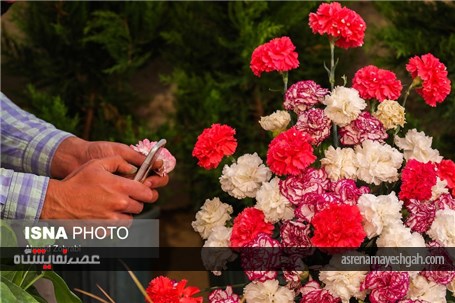 گزارش تصویری از پانزدهمین نمایشگاه گل محلات