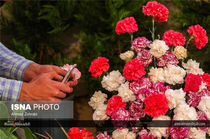 گزارش تصویری از پانزدهمین نمایشگاه گل محلات