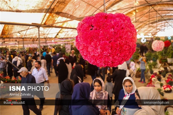 گزارش تصویری از پانزدهمین نمایشگاه گل محلات