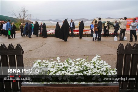 گزارش تصویری از پانزدهمین نمایشگاه گل محلات