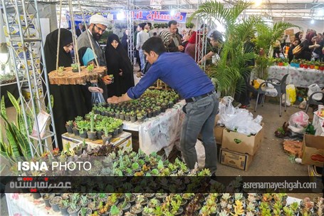 گزارش تصویری از پانزدهمین نمایشگاه گل محلات