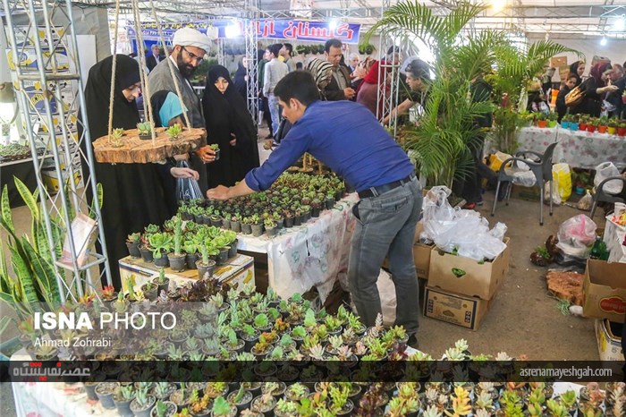 گزارش تصویری از پانزدهمین نمایشگاه گل محلات