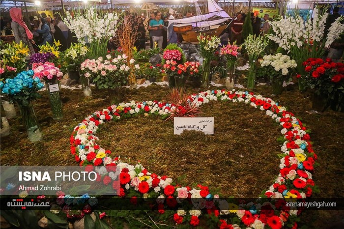 گزارش تصویری از پانزدهمین نمایشگاه گل محلات