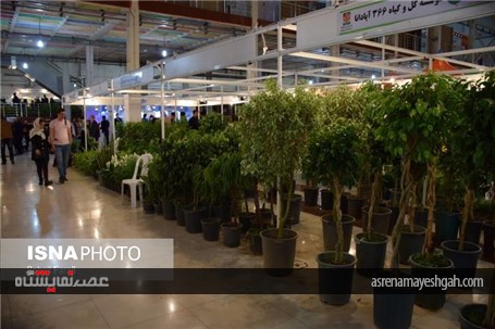 گزارش تصویری استقبال مردمی از نمایشگاه تخصصی گل و گیاه در ارومیه