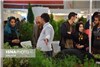 گزارش تصویری استقبال مردمی از نمایشگاه تخصصی گل و گیاه در ارومیه