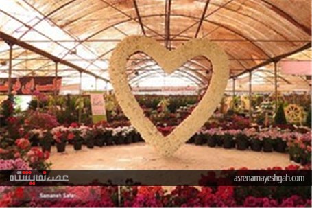 گزارش تصویری از پانزدهمین نمایشگاه گل و گیاه محلات در دهکده گل محلات