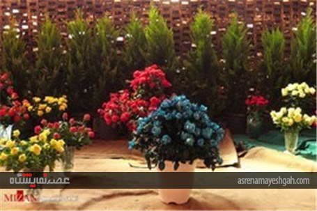 گزارش تصویری از پانزدهمین نمایشگاه گل و گیاه محلات در دهکده گل محلات