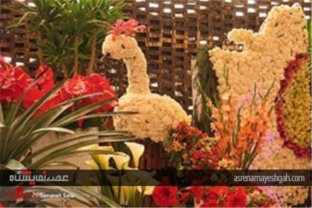 گزارش تصویری از پانزدهمین نمایشگاه گل و گیاه محلات در دهکده گل محلات