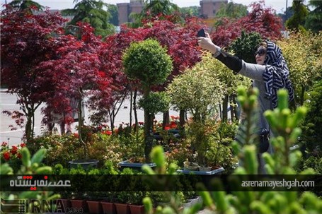 گزارش تصویری از پانزدهمین نمایشگاه فصلی گل و گیاه تهران