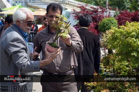 گزارش تصویری از پانزدهمین نمایشگاه فصلی گل و گیاه تهران