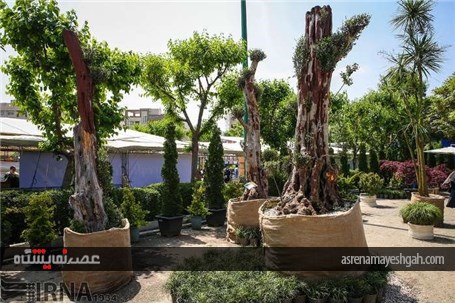 گزارش تصویری از پانزدهمین نمایشگاه فصلی گل و گیاه تهران