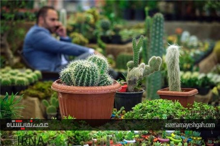 گزارش تصویری از پانزدهمین نمایشگاه فصلی گل و گیاه تهران