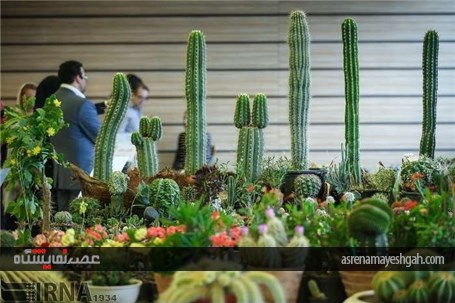 گزارش تصویری از پانزدهمین نمایشگاه فصلی گل و گیاه تهران
