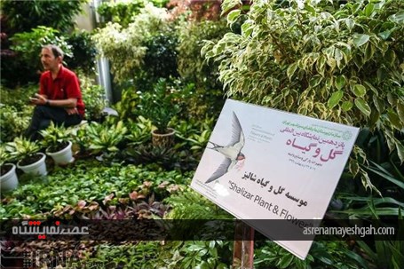 گزارش تصویری از پانزدهمین نمایشگاه فصلی گل و گیاه تهران