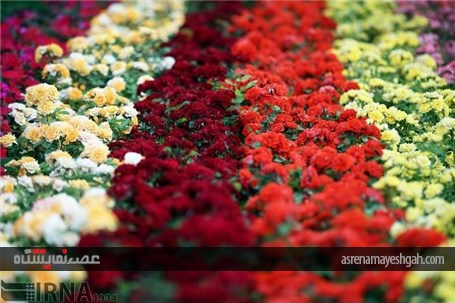 گزارش تصویری از پانزدهمین نمایشگاه فصلی گل و گیاه تهران