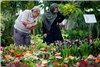 گزارش تصویری از پانزدهمین نمایشگاه فصلی گل و گیاه تهران